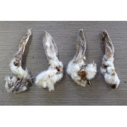 Coniglio Orecchie Basse In Resina Assortito - NaturDecor