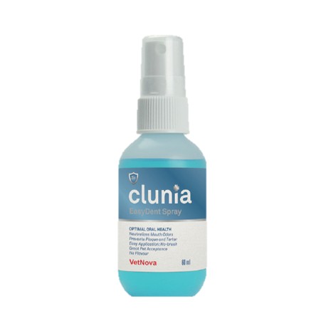 CLUNIA® EasyDent Spray	- 60 ml